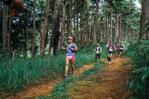 BIB: 
                            <button type="button" onclick="openModal(25752424)" class="btn btn-primary btn-sm float-right btn-popup" data-toggle="modal" data-target=".modal-high-quality">
                        <i class="fas fa-shopping-cart"></i> Add to Cart
                    </button>
                                            <button type="button" onclick="isThisMe(25752424, true)" class="btn btn-success btn-sm float-right btn-popup btn-isme hidden" data-toggle="tooltip" data-placement="bottom" title="นี่คือรูปของคุณใช่ไหม คลิกที่นี่เพื่อเอาเข้าอัลบั้ม">
                        <i class="fas fa-plus"></i> Add to album
                    </button>
                    <button type="button" onclick="isThisMe(25752424, false)" class="btn btn-warning btn-sm float-right btn-popup btn-isnotme hidden">
                        <i class="fas fa-ban"></i> Remove from album
                    </button>